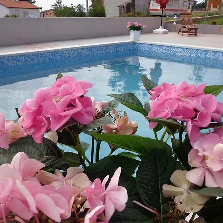 Apartment 21 Buje
